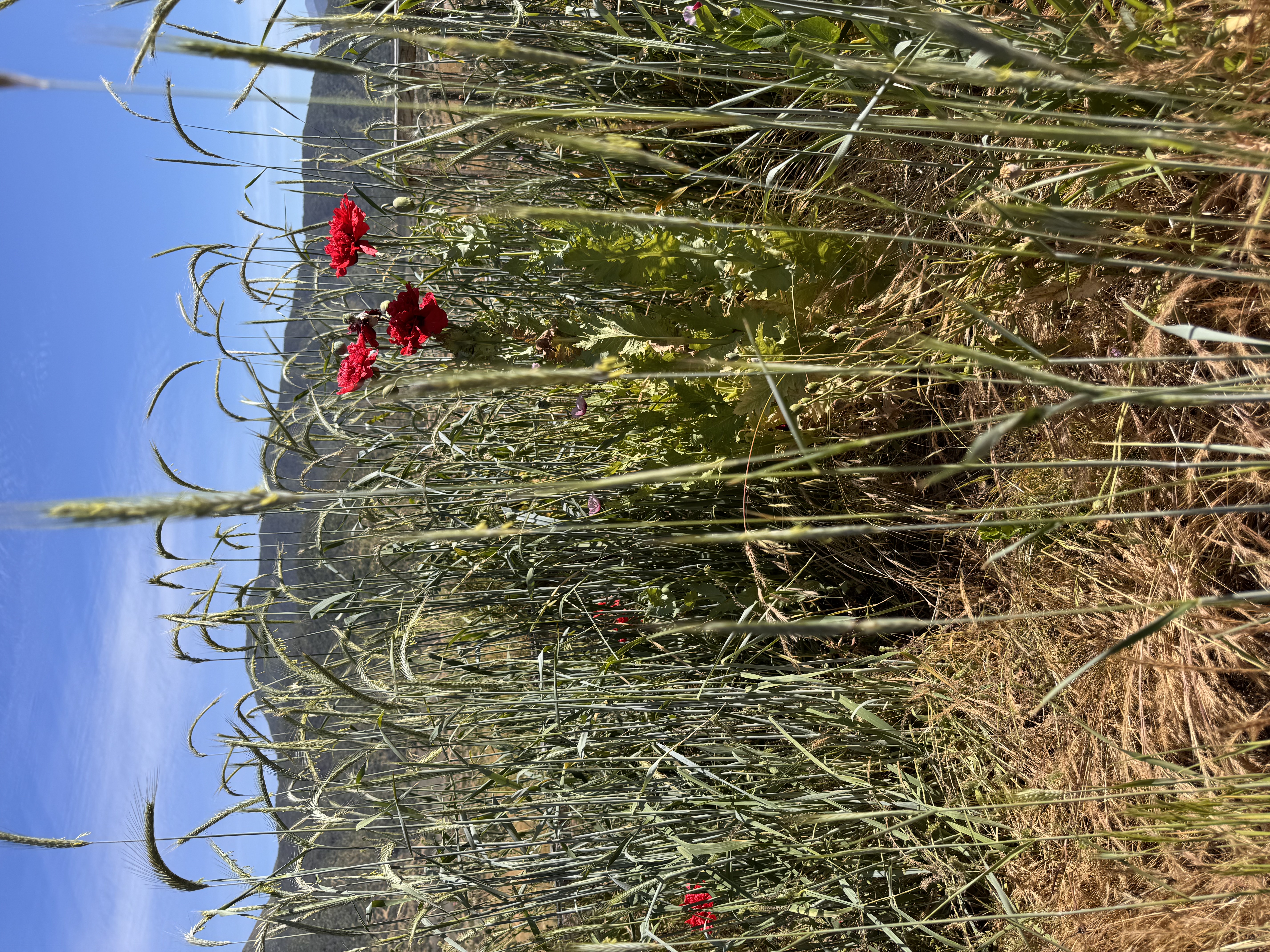 Nuestro territorio 1